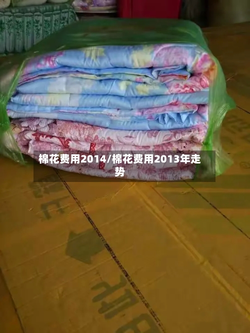 棉花费用2014/棉花费用2013年走势-第2张图片