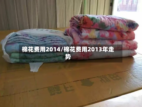 棉花费用2014/棉花费用2013年走势-第3张图片